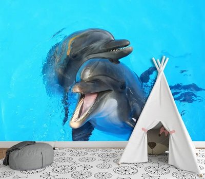 Фотообои Два дельфина обнимаются Pod2262 фото