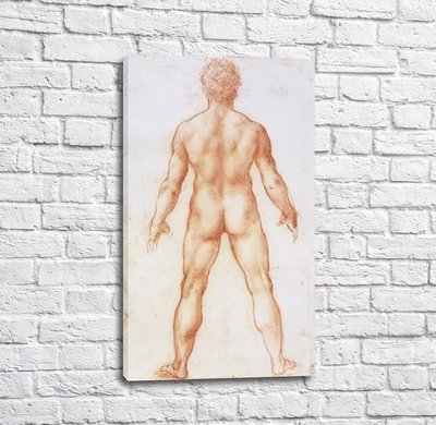 Картина Nudo, Leonardo da Vinci Leo14213 фото