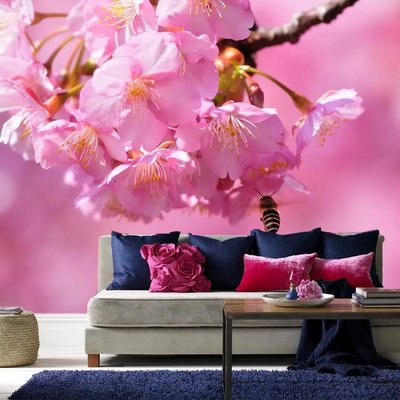 Fototapet Sakura roz și o albină TSv2762 фото