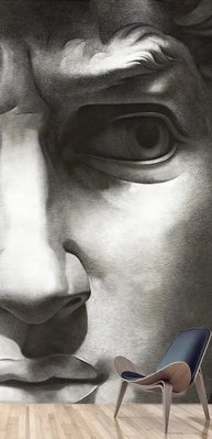Фотообои Скульптура лица Давида 3D5263 фото