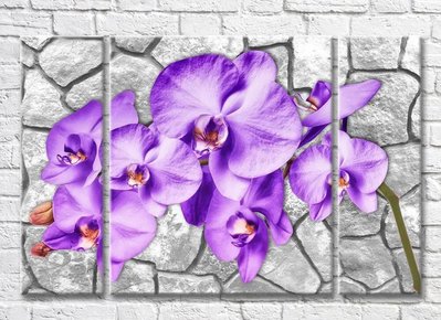 Триптих Ветка сиреневой орхидеи на каменном фоне 3D7813 фото