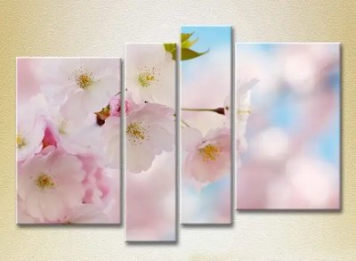 Модульные картины Цветы сакуры_02 TSv7963 фото