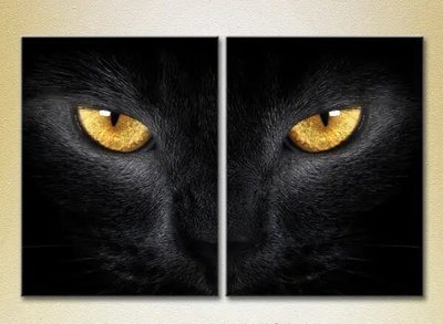 Tablouri modulare Ochi de pisică neagră ZHi8663 фото