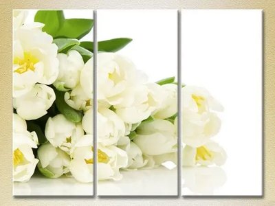 Модульные картины Букет белых тюльпанов TSv9763 фото