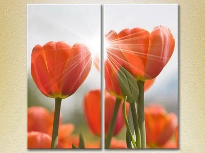 Модульные картины красные тюльпаны TSv6813 фото