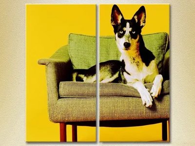 Модульные картины Собака на кресле_01 ZHi9463 фото
