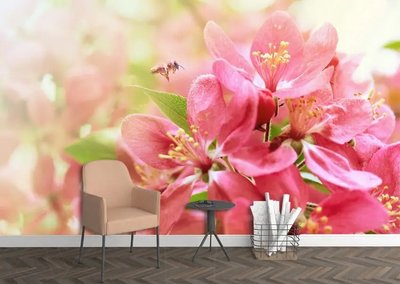 Фотообои Пчела и розовые цветы сакуры TSv2764 фото