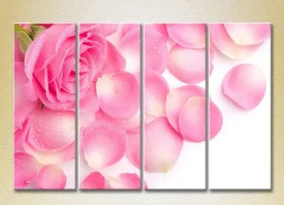 Модульные картины Розовая роза и лепестки_01 TSv7964 фото