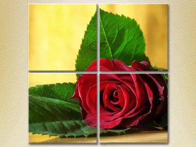 Модульные картины Красная роза TSv8014 фото