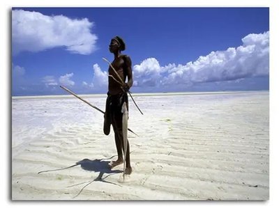 ФотоПостер Рыбак на пляже, Танзания Afr16584 фото
