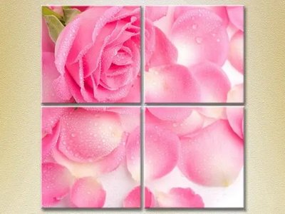Tablouri modulare Trandafir roz și petale TSv7614 фото