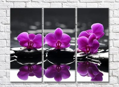 Триптих с фиолетовыми орхидеями на черных камнях TSv5715 фото
