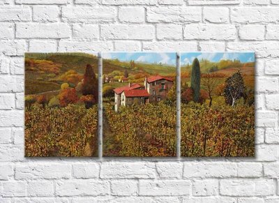 Триптих Vineyards In The Hills 005_1 Pro10265 фото