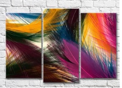Триптих Разноцветные яркие перья птиц Abs7265 фото
