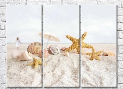Триптих Морские звезды и ракушки в песке Mor9915 фото