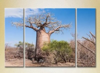 Tablouri modulare Baobab Pri7715 фото