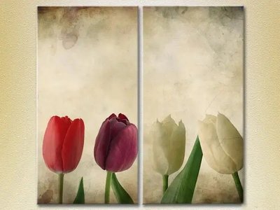 Модульные картины Разноцветные тюльпаны TSv6765 фото