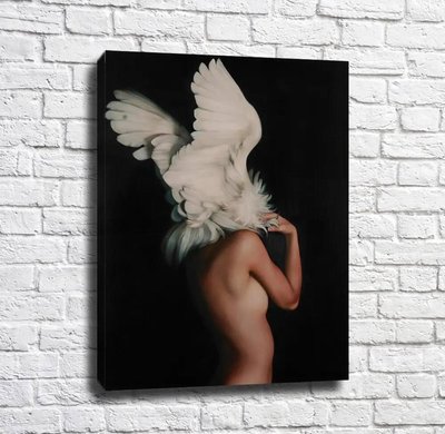 Fată nudă cu aripi de înger pe spate Emi14905 фото