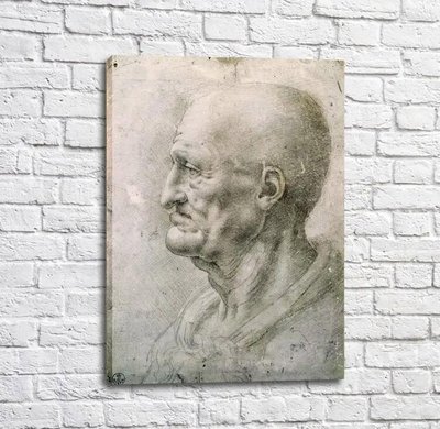 Pictură Capul unui bătrân, Da Vinci Leo14216 фото