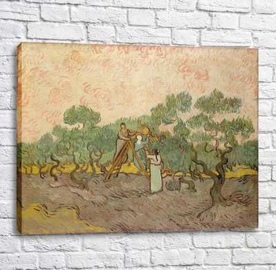 Картина Vincent van Gogh Women Picking Olives [1889] Van11615 фото