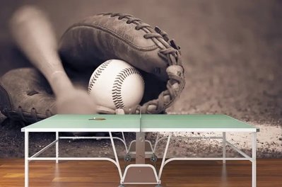 Mănușă de baseball, minge și bâtă pe fond gri, sport Spo3116 фото