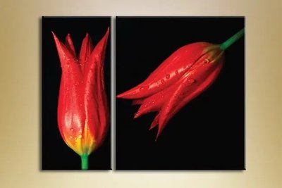 Модульные картины Два красных тюльпана TSv6616 фото