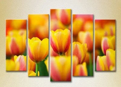 Модульные картины Желто красные тюльпаны_03 TSv7466 фото
