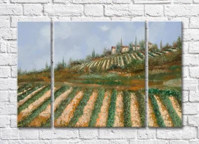 Триптих Vineyards In The Hills 011_1 Pro10266 фото
