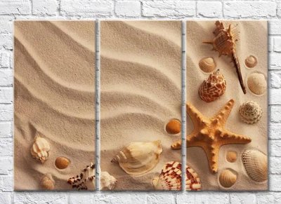 Триптих Морская звезда и ракушки на песке Mor9916 фото