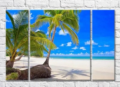 Триптих Пальмамы и песчанный пляж Mor9966 фото