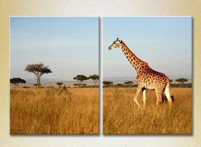 Модульные картины Жираф. Кения. Африка. ZHi8716 фото