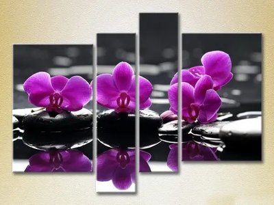 Модульные картины Фиолетовые орхидеи на камнях TSv7966 фото