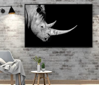 Rinocer cu un corn imens pe un fundal negru ZHi14567 фото
