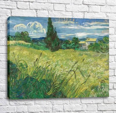 Картина Поле с зеленой пшеницей и кипарисом Van11716 фото