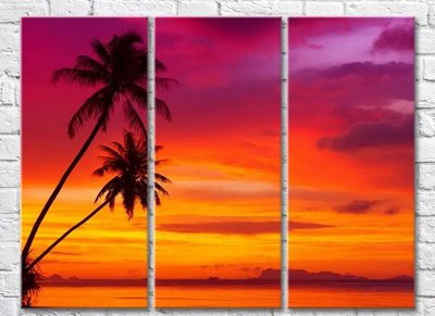 Триптих Две пальмы на фоне розового заката Mor9967 фото
