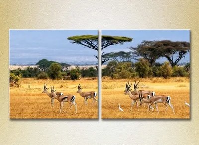 Модульные картины Африканский пейзаж_02 ZHi8667 фото