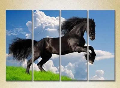 Модульные картины Черный конь ZHi9267 фото