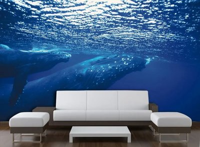 Фотообои Два кита на глубине океана Pod2117 фото