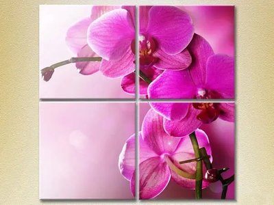 Модульные картины Фиолетовые орхидеи TSv7967 фото