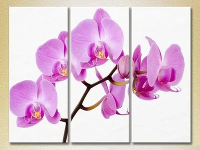 Модульные картины Орхидеи сиреневые TSv10217 фото