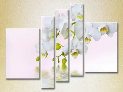Tablouri modulare White Orchid_03 TSv7167 фото