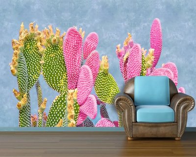 Cactusi multicolori pe un fundal albastru pastel TSv767 фото