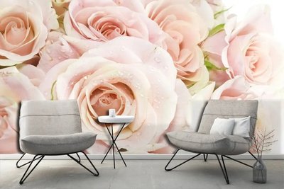 Бледно розовые розы с капельками росы TSv4341 фото