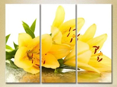 Модульные картины Желтые лилии TSv10141 фото