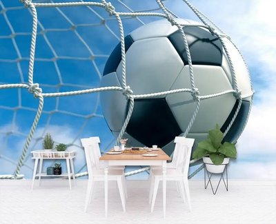 Фотообои Футбольный мяч в сетке на фоне неба, футбол Spo2891 фото