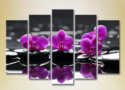 Модульные картины Фиолетовые орхидеи на камнях_02 TSv8468 фото