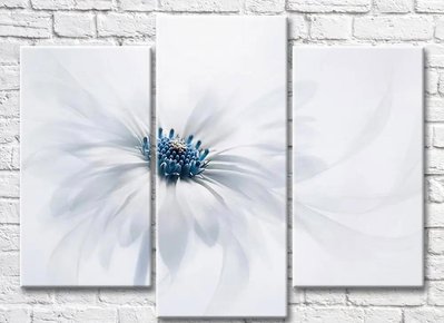 Triptic floare gri pe fundal alb Ris9168 фото