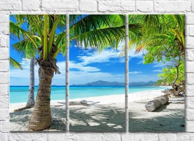 Триптих Пляж и пальмамы на фоне моря Mor9968 фото