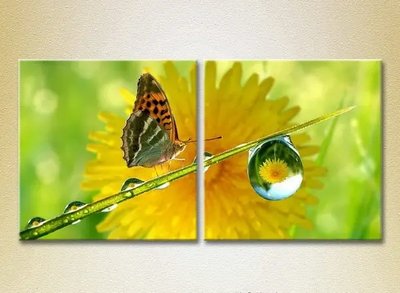 Модульные картины Бабочка и роса ZHi9118 фото
