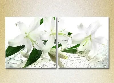 Модульные картины Белые лилии TSv6818 фото